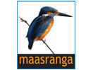 maasranga_tv_bd